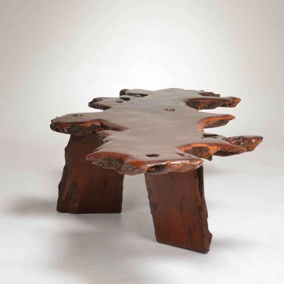 Japanese redwood burl live edge coffee table detail 5