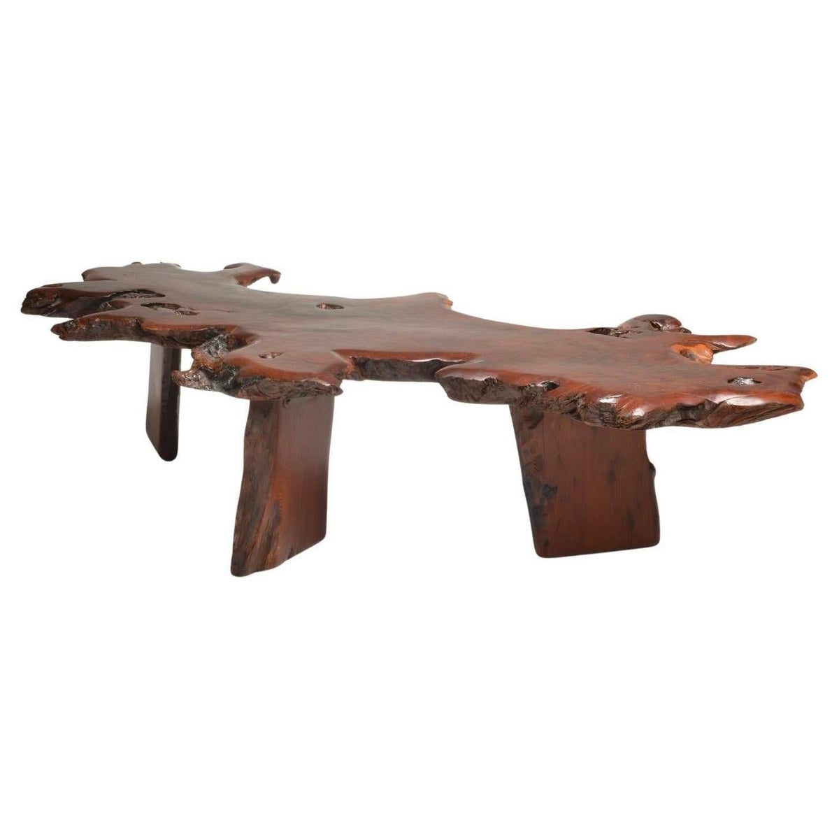 Large Japanese redwood burl live edge coffee table circa 1940